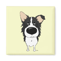 Big Nose Border Collie