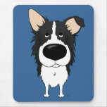 Big Nose Border Collie