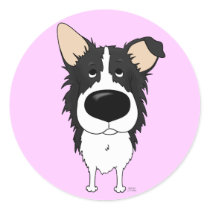 Big Nose Border Collie
