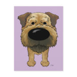 Big Nose Border Terrier
