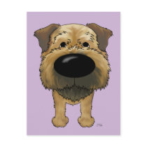 Big Nose Border Terrier