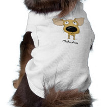 Big Nose Chihuahua