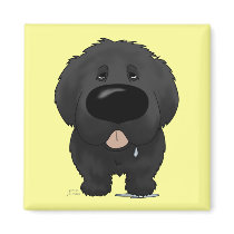 Big Nose Newfoundland
