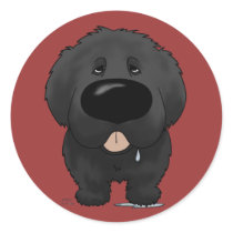 Big Nose Newfoundland