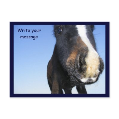 Big Nose Postcards by Petcetera