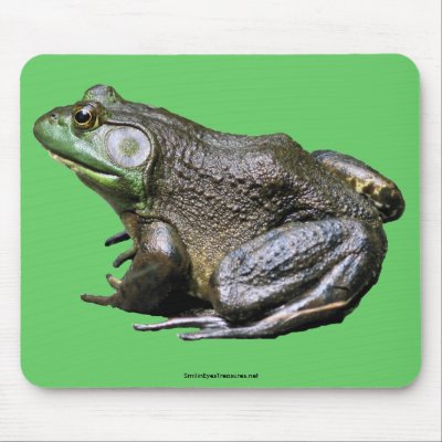 Big Old Bullfrog Animal Nature Photo Mousepad by SmilinEyesTreasures