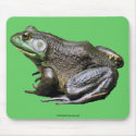 Big Old Bullfrog Animal Nature Photo Mousepad