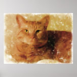 Big Orange Tabby Cat posters