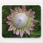 Big Pink and White Flower Mousepad