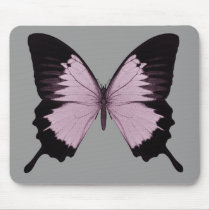 Big Pink & Black Butterfly - Personalise