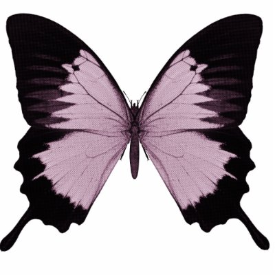 Big Pink & Black Butterfly - Personalise by VoXeeD