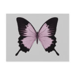 Big Pink & Black Butterfly - Personalise