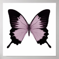 Big Pink & Black Butterfly - Personalise