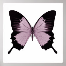 Big Pink & Black Butterfly - Personalise Print