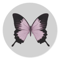 Big Pink & Black Butterfly - Personalise