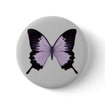 Big Purple & Black Butterfly