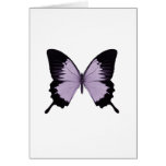 Big Purple & Black Butterfly