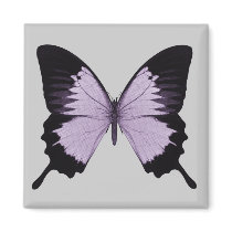Big Purple & Black Butterfly