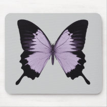 Big Purple & Black Butterfly