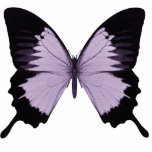 Big Purple & Black Butterfly photo sculptures