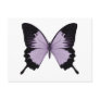 Big Purple & Black Butterfly