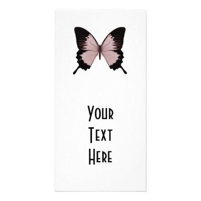 Big Red & Black Butterfly by VoXeeD