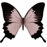 Big Red & Black Butterfly photo sculptures