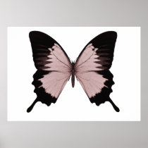 Big Red & Black Butterfly