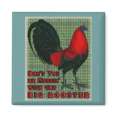 Big Red Rooster by diane_jacky