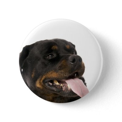 big rottweiler button by mag26s