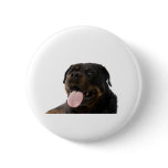 big rottweiler pin