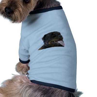 big rottweiler dog clothing by mag26s