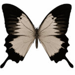 Big Sepia Orange & Black Butterfly Photo Sculptures