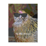 Big Shot Chicken