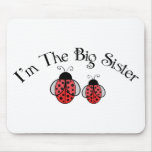 Big Sis Ladybug Use Pads