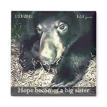 Big Sister Hope Magnet