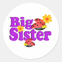 Big Sister Ladybug Stickers