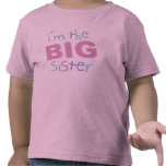 Big Sister Toddler T-Shirt