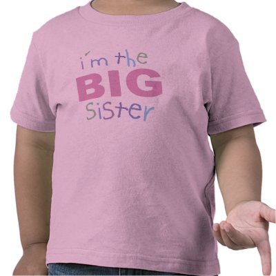 Big Sister Toddler T-Shirt by konceptskids