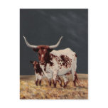 Big Spot & Little Spot postcards