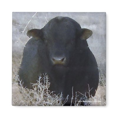 Big Strong Black Bull Tumbleweeds - Toro - Taurus by She_Wolf_Medicine