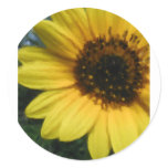 Big Sunflower Stickers