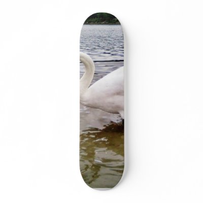 Big Swan Skateboard Deck by lifesphere