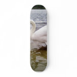 Big Swan skateboards