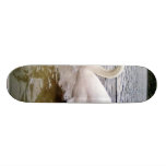 Big Swan Skateboard Deck