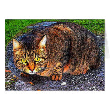 Big Tabby Cat Greeting Card