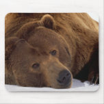 Big Teddy Bear Mouse Pad