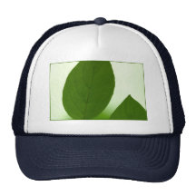 big tip mesh hat