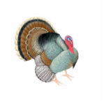 Big Tom Turkey Holiday Ornament photo sculptures