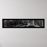 Big Tree Grove Mariposa Photo 1906 Posters